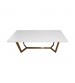 Danish Coffee Table Snow White Table Top Sintered Stone Golden Base Carbon Steel Firm Support